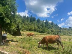 -山王坪喀斯特国家生态公园