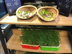 -番食园鲜食火锅(高新店)