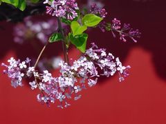 -竹泉村旅游度假区