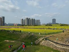 -光明小镇欢乐田园