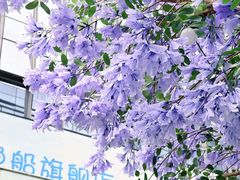-HALO广场(梨园路店)