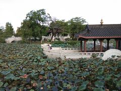 -惠州西湖丰渚园