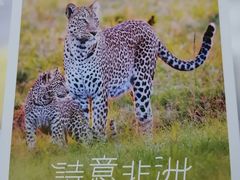 -好利来(团结湖店)