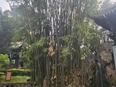 -望江楼公园