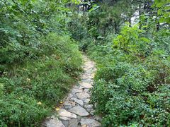 -北京西山国家森林公园