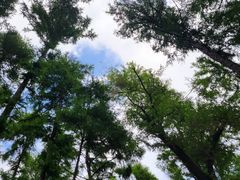 -长春市南湖公园