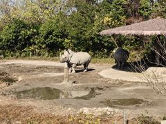 -宁波野生动物园