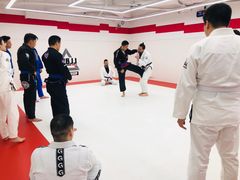 -DEFGROUP·巴西柔术·拳击·摔跤(世纪大道馆)