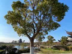 -上海海湾国家森林公园