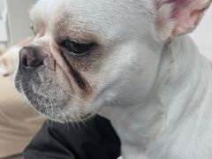 -怪兽屋·羊驼·猫咖·狗咖(俊华广场店)