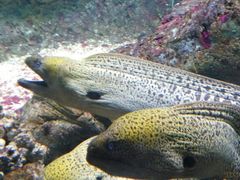 -北戴河圣蓝海洋公园