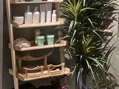-施奈儿.洗头頭療.按摩SPA.采耳(上梅林店)