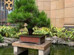 -番禺宾馆丽苑厅