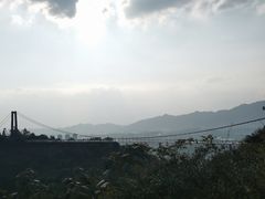 -南丹山森林王国