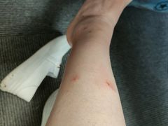 -三亚海棠湾万丽度假酒店