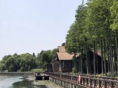 -苏州太湖湖滨国家湿地公园