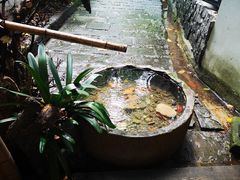 -乐领拈花溪·林涧食韵