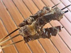 -春花秋色城市公园