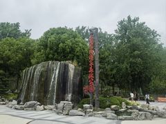 -合肥滨湖国家森林公园