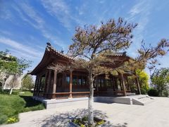 -水西公园