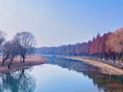 -苏州太湖国家湿地公园