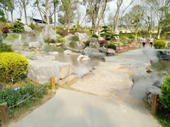 -东莞植物园