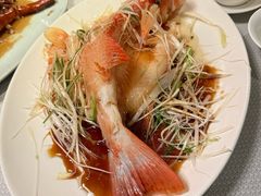 清蒸泰星斑-镛记酒家