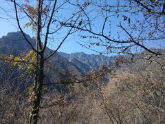 -陕西省红河谷森林公园