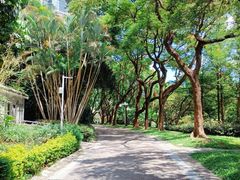 -人民公园(罗湖区)