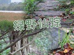 -华侨城湿地公园