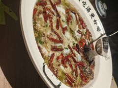老坛酸菜录鱼-首秀·四川料理(星耀101店)