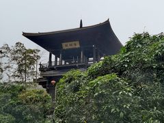-大唐贡茶院