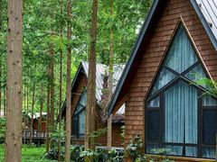 -黄海国家森林公园