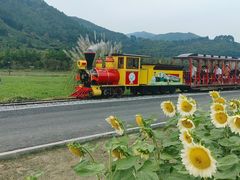 -径山花海