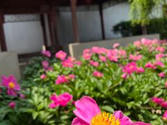 -盛世南宫影视城(北普陀影视城)