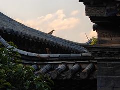 -朱家花园