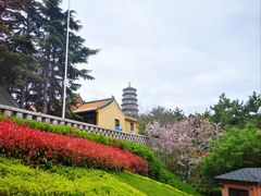 -湛山寺