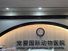-宠爱国际动物医院·消化内科·心肾内科·ISFM猫友好(望京店)