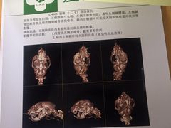 -爱侣宠医·鹦鹉专科·小型哺乳类·异宠专科(灵石路店)