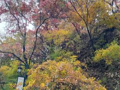 -北山公园