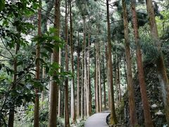 -雁荡山风景名胜区