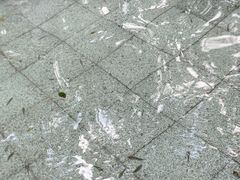 -碧水湾温泉