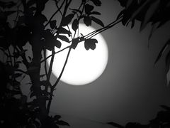 -远洋国际中心(地铁站)