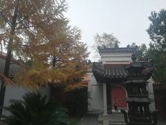 -南岳衡山风景名胜区-南岳大庙