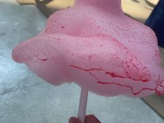 -青岛东方影都融创水世界