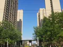-金色麦甜糕点(面包.蛋糕.华苑店)