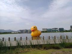 -琅岐红光湖公园
