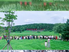 -沈阳森林动物园