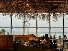 -Seesaw Coffee(朝阳大悦城店)