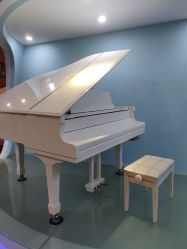 -比华利美容医院